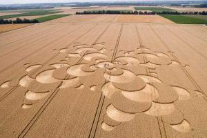 В Баварии обнаружили загадочные круги на поле