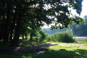 В Луганской области пенсионерка нашла висельника в посадке