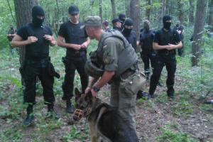 В лесу под Киевом - огромное количество вооруженных силовиков, - СМИ