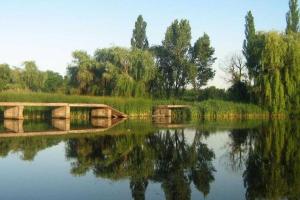 В Горловке боевики создали себе пляж на пруду, оградив берег колючей проволокой