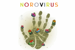 Медики бьют тревогу по поводу норовируса 