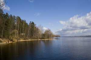 В подмосковных Мытищах утонула невеста: пьяные гости вызвали спасателей на следующий день