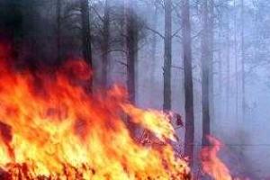 В зоне АТО случился пожар: горел полигон с мусором, пожарные боролись с огнем всю ночь