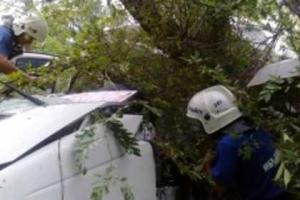 Под Ростовом автобус с туристами из Крыма попал в ДТП, есть погибшие