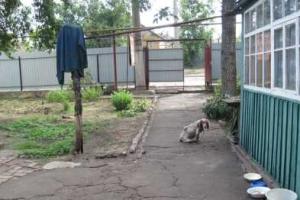 В Мариуполе чуть не зарезали мужчину ради банковской карты