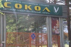 В России вожатый пытался изнасиловать 10-летнюю девочку