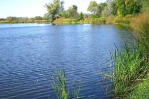 Тело пропавшей 15-летней москвички нашли в Карелии