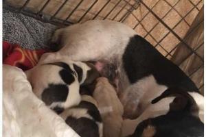 Сестра Жанны Фриске рассказала о тяжелых родах