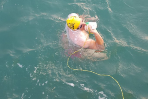 У берегов Франции произошла страшная трагедия: погиб легендарный английский пловец Ник Томас