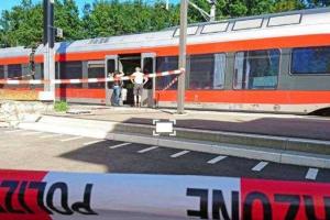 В Швейцарии неизвестный мужчина совершил вооруженное нападение на пассажиров поезда, есть пострадавшие