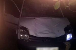 На Полтавщине под колесами Ford Transit погибли три молодых парня