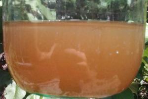 В соцсети показали, какая вода течет из кранов в оккупированном Красном Луче