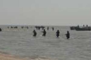 Появилось видео, на котором боевики "ДНР" отрабатывают атаки на Мариуполь и Широкино