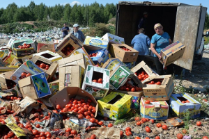 Стало известно, сколько санкционной продукции уничтожили в России