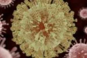 Ученые в панике: Вирус Зика оказывает серьезное влияние на мозг взрослых людей