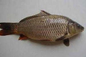 Соцсети взорвал анекдот о реалиях "ДНР"