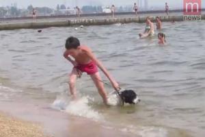 Пёс, влюбленный в море, покорил жителей Мариуполя