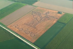 Рио-2016: Итальянский фермер в честь Олимпиады нарисовал огромный рисунок на поле