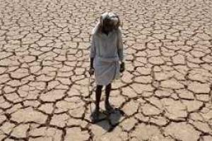 Названы виды животных, которые скоропостижно вымрут на нашей планете