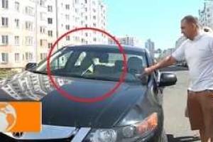 В Минске зверски избили беларуса за украинский флаг на лобовом стекле автомобиля