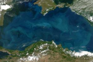 Ученые в панике: обитаемое пространство Черного моря сократилось на 40 процентов