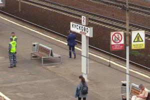 Пёс по кличке Стэтхэм задержал вора, преследуя его несколько километров