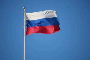 В Сирии активисты взяли в руки плакаты с Путиным и сожгли флаг РФ 