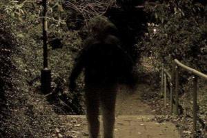 Житель Питера изнасиловал более 100 девушек в Беларуси