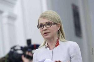 Проект госбюджета-2017 Юлия Тимошенко назвала «разрушительным» 