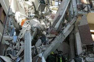 В Италии собака чудом выжила спустя 9 дней под завалами после землетрясения