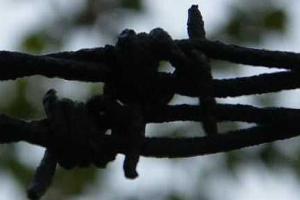 "Лагеря смерти" - СБУ опубликовало места пыток в Донецке и Луганске