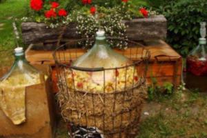 Ученые сварили самогон, который пили 2500 лет назад