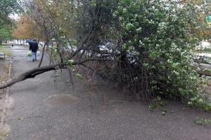 В Украине из-за непогоды 300 населенных пунктов остались без электроснабжения