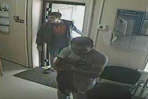 В России ветеринара избили мертвым котом 