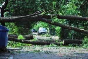 В Одессе произошла страшная трагедия: 11-летняя девочка погибла, наступив на оборванный ветром кабель