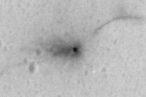 Возле разбитого аппарата Скиапарелли на Марсе обнаружили странные пятна