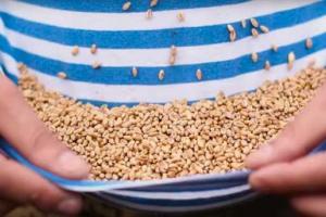 Полку, который защищал Донецкий аэропорт, посвятили патриотическое видео