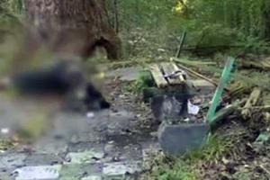 В Абхазии около телецентра подорвался соратник Моторолы