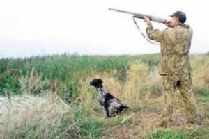 В Донецкой области запретили охоту до окончания АТО 