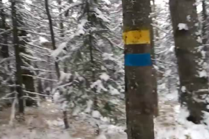 Россиянин был до смерти напуган присутствием в Красноярске "украинской ДРГ"