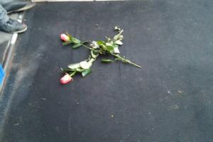 Две розы для тернопольского мэра