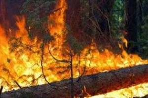 В районе Светлодарска наблюдается сильное возгорание - соцсети 