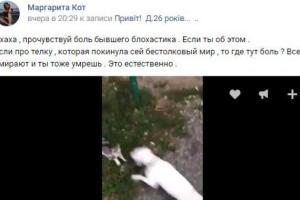 В Харькове избили парня, который натравил бультерьера на котенка