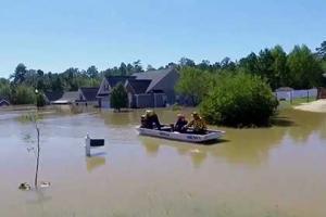 Ураган Мэтью: американского ветерана и его собаку удалось спасти благодаря Twitter 