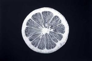 Художник создал серию реалистичных рисунков, которые можно принять за фото