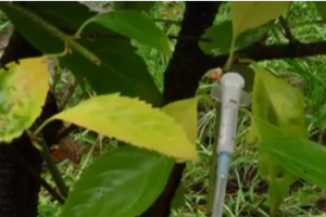 ЧП во Львове: ребенок в детском саду укололся ВИЧ-инфицированным шприцем