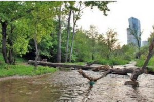 Россиянина, которого искали через программу «Жди меня», нашли в реке с камнями в одежде