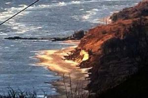 В Мариуполе мощный ветер оборвал электросети и повалил деревья в городе