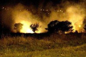 В Мариуполе произошел сильный пожар: горящая трава чуть не спалила частные дома