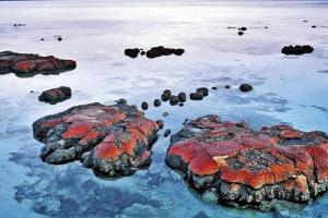 Сведения о том, что жизнь на нашей планете зародилась 200 миллионов лет назад, ошибочные - ученые